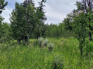 0 Xx Ellemeham Mountain Rd, Oroville, WA 98844