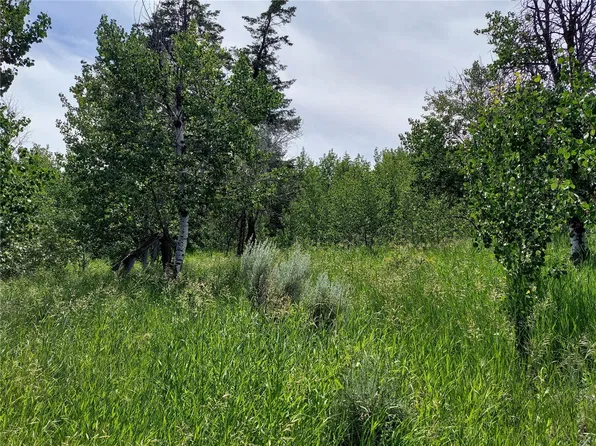 0 XX Ellemeham Mountain Road, Oroville, WA 98844