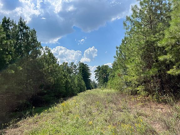 4th image of Fm 247
