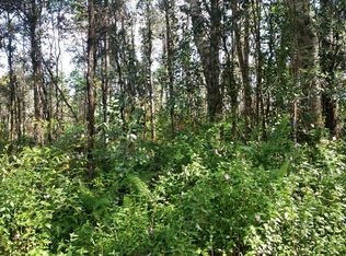 Lanai Rd LOT 116, Pahoa, HI 96778