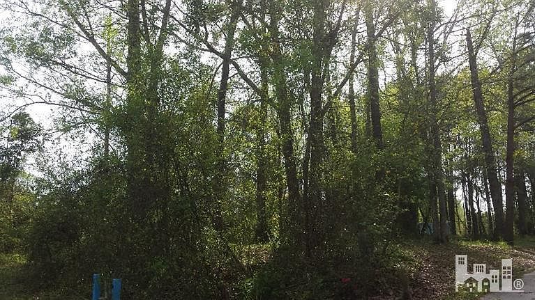 1st image of 24 Old River Acres Drive LOT 24