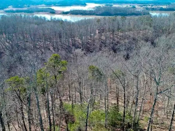 1410 Echota Ln, Mooresburg, TN 37811