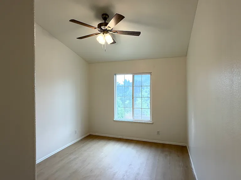 12947 Clemson Dr — Photo 15