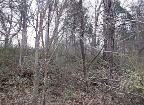 1st image of Tbd Warrior Lane