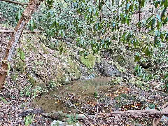 2nd image of 735 Dogwood Stand Rd Lot 0