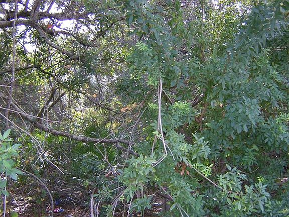 2nd image of 27081 Chile Dr