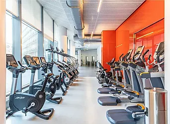 Rented by Platinum Properties