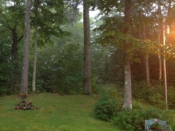 Wooded Area