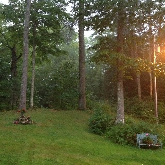 Wooded Area