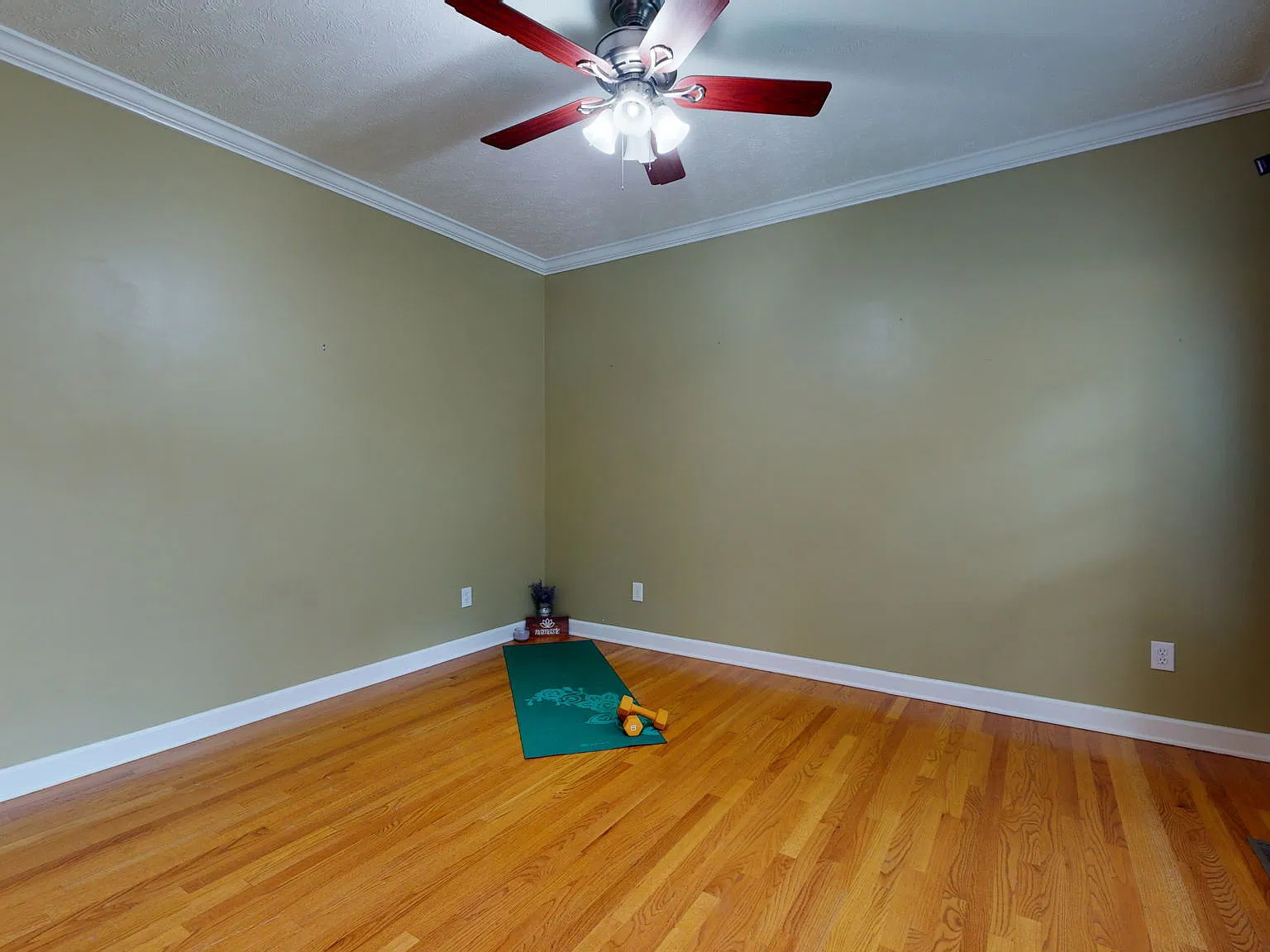 51 Loblolly Court - 1 — Photo 4
