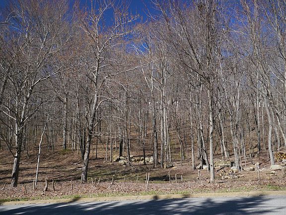 3rd image of 2942 Blue Teal Ln