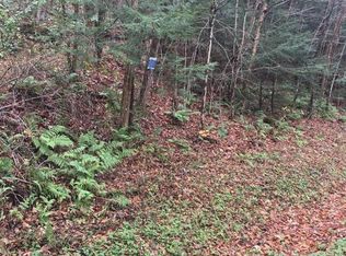 0 S River Rd, Walton, NY 13856