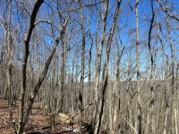 0 Daus Mountain Rd, Palmer, TN 37365