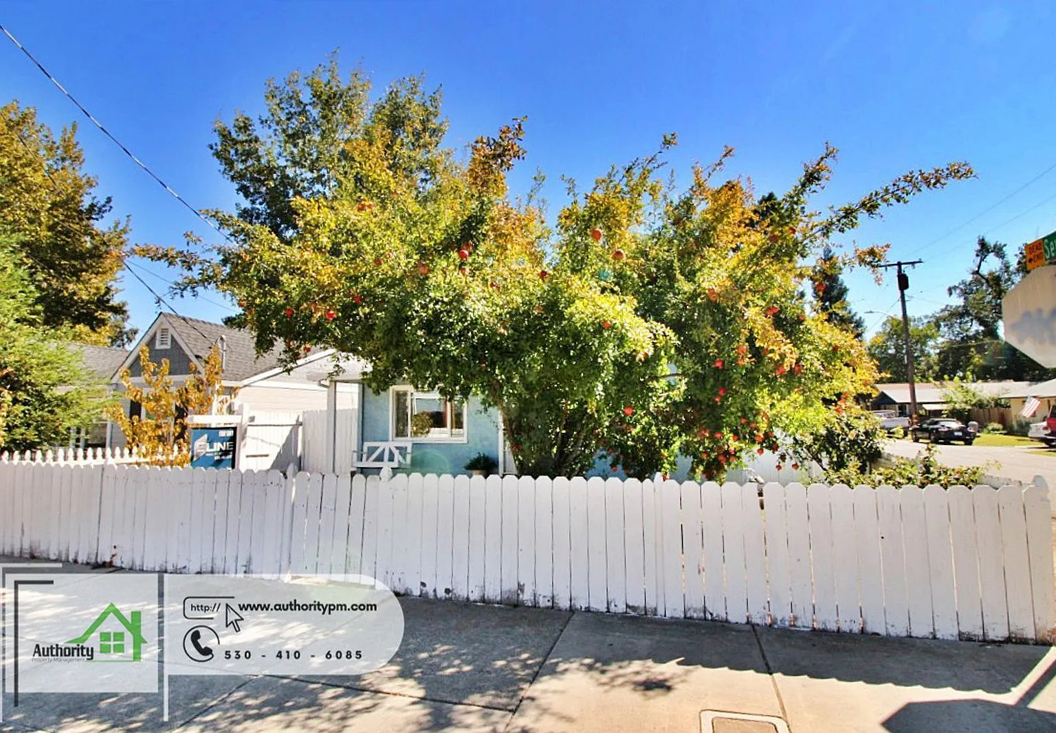 2 bed, 1.0 bath, 843 sqft, $1,695 — Photo 2