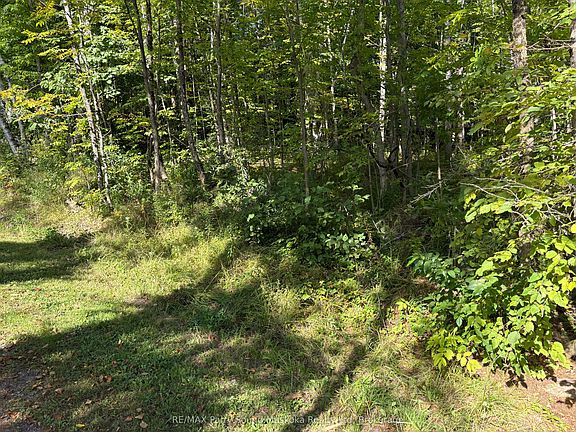 4th image of 0 Pine Rd