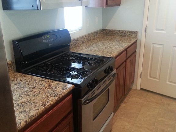 4th image of 229 Shy Dandelion St