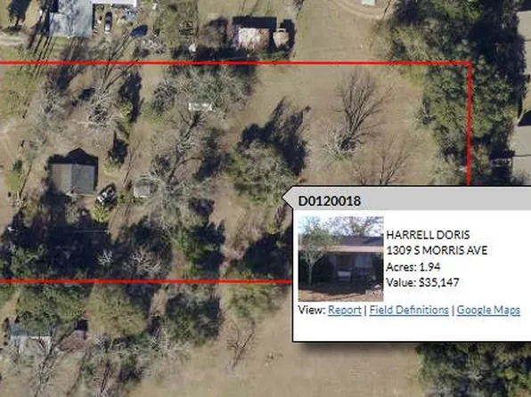 1309 S Morris Ave, Donalsonville, GA 39845