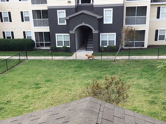 5th image of 10208 Sandywood Dr