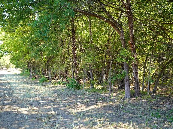 3rd image of 55 County Road 42351