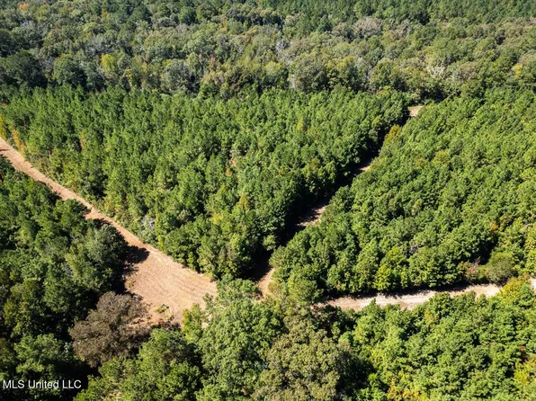 5302 E Wicker Rd, Smithdale, MS 39664