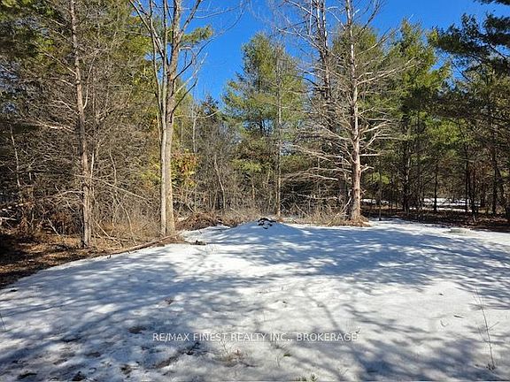 5th image of 590 Love Rd
