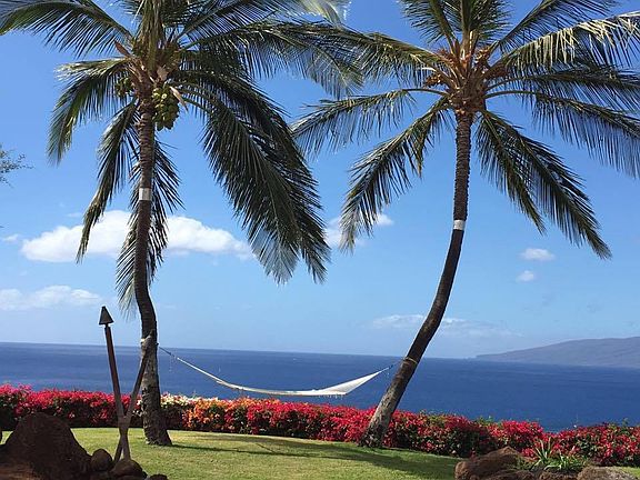Relaxing hammock in backyard