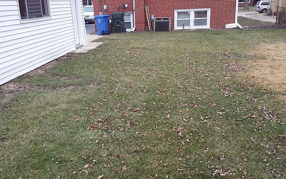 2nd image of 2036 Spruce Ave