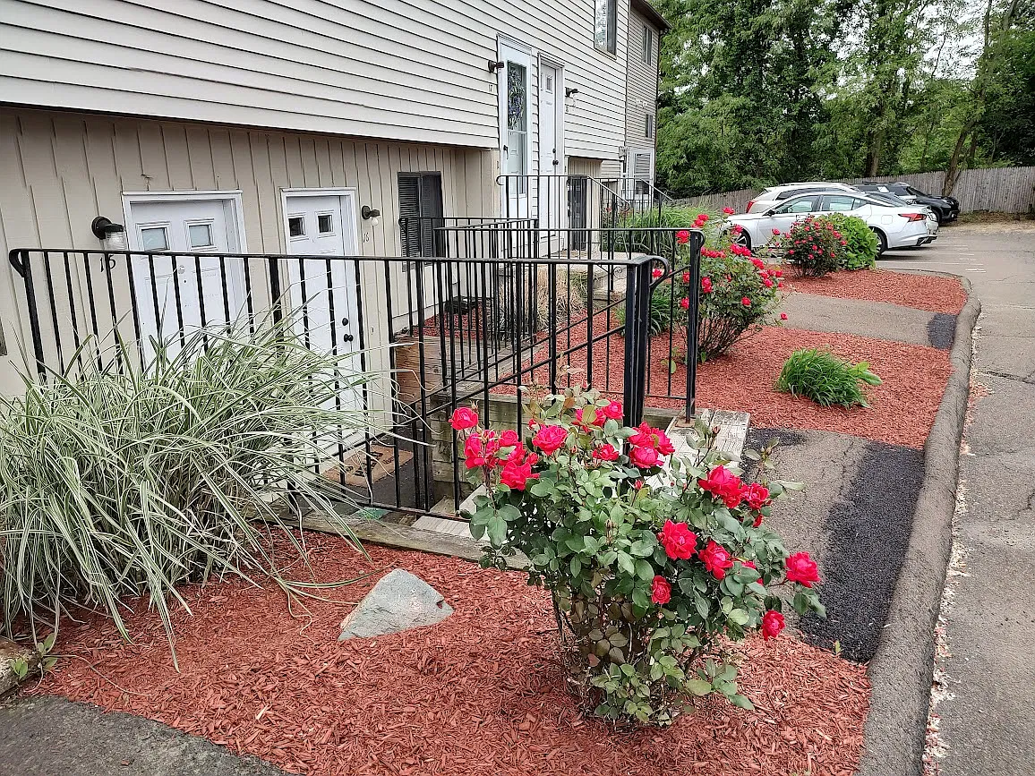 2 bed, 860 sqft, $2,000 — Photo 3