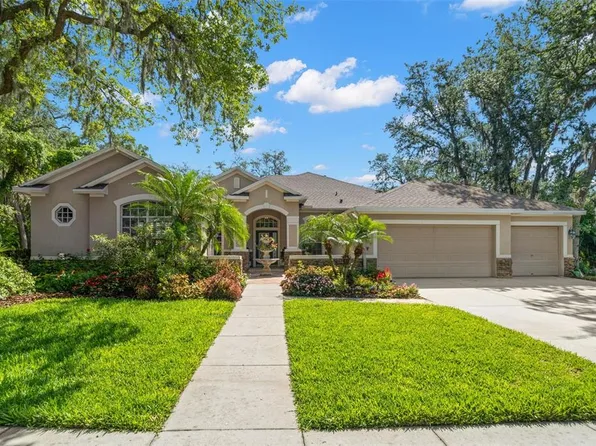 15921 Sorawater Dr, Lithia, FL 33547