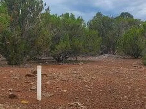 6 County Rd, Vernon, AZ 85940