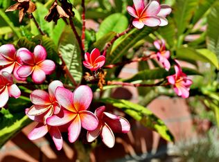 6502 Trinette Ave, Garden Grove, CA 92845