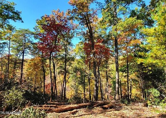 4th image of Riversong Ridge Way