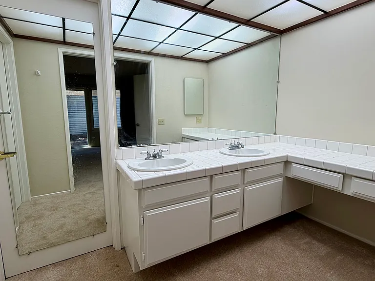 34200 Gadwall Cmn — Photo 6