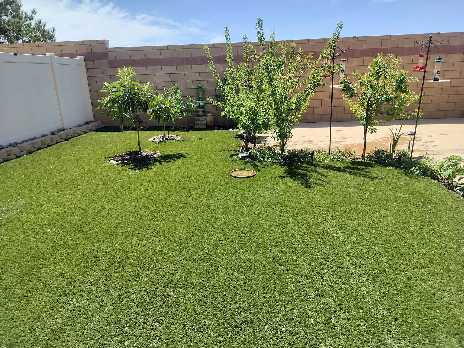 4 bed, 2116 sqft, $3,600 — Photo 3