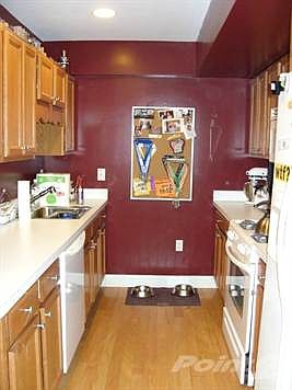 48 Denver kitchen