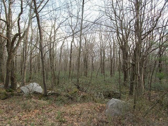 2nd image of Lot # 61 Blueberry Way