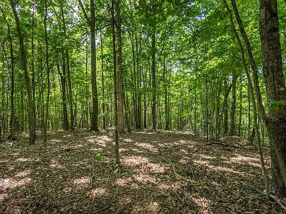 3rd image of 20 Pack Mountain Rd