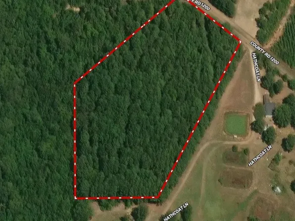 0 County Road 1200, Daingerfield, TX 75638