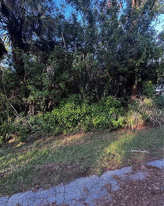 2nd image of 8104 Hibiscus Rd