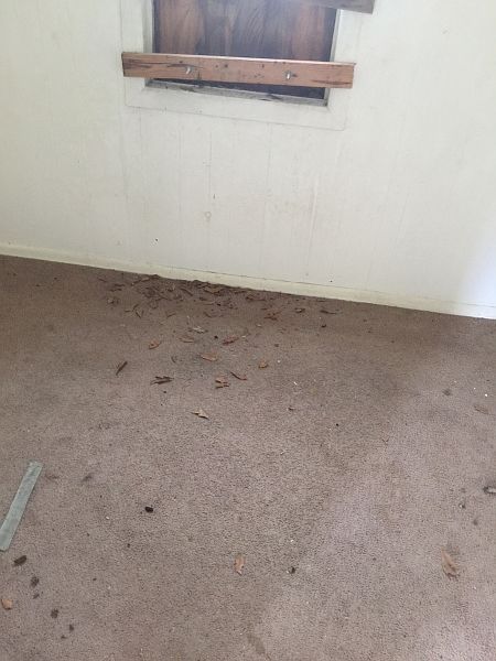 2nd image of 3068 Greenwood Ave