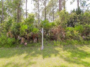 205 Underwood Trl, Palm Coast, FL 32164