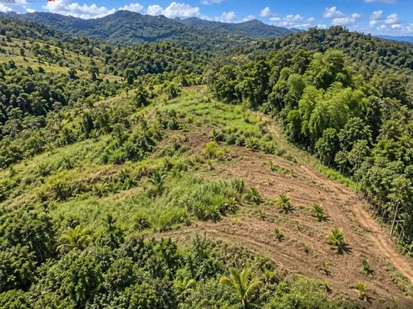 Finca 13 Cuerdas | Caguas Puerto Rico, Caguas, PR 00725