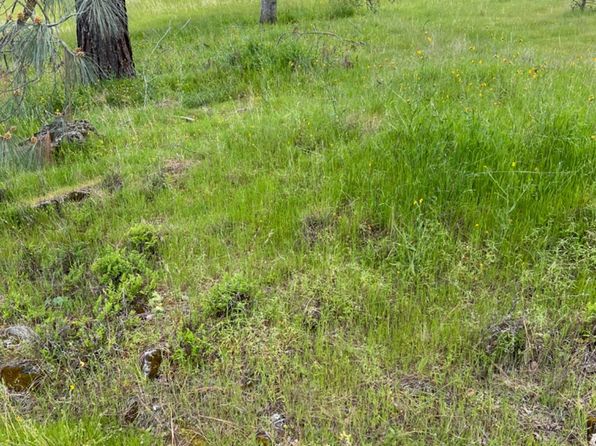 1 Tioga Dr LOT 2150, Coarsegold, CA 93614