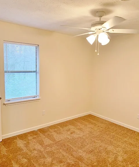 222 Mabry Dr — Photo 11