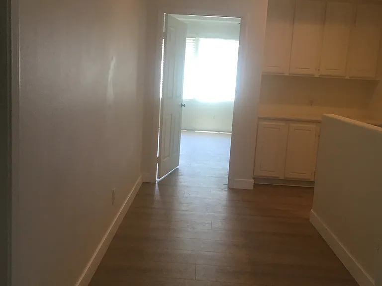 13337 Babbling Brook Way — Photo 19