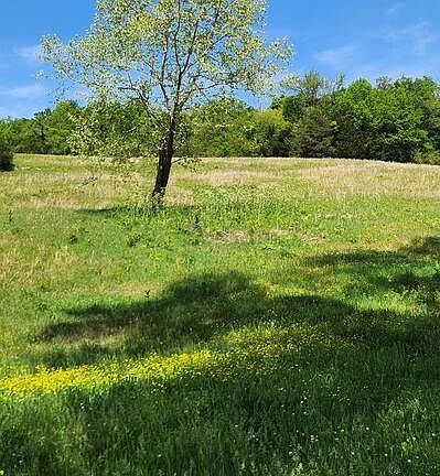 3rd image of 0 Lower Helton Rd