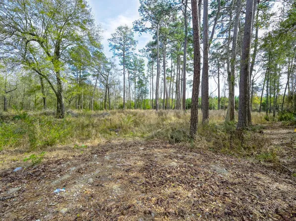 480 County Road 3188, Cleveland, TX 77327