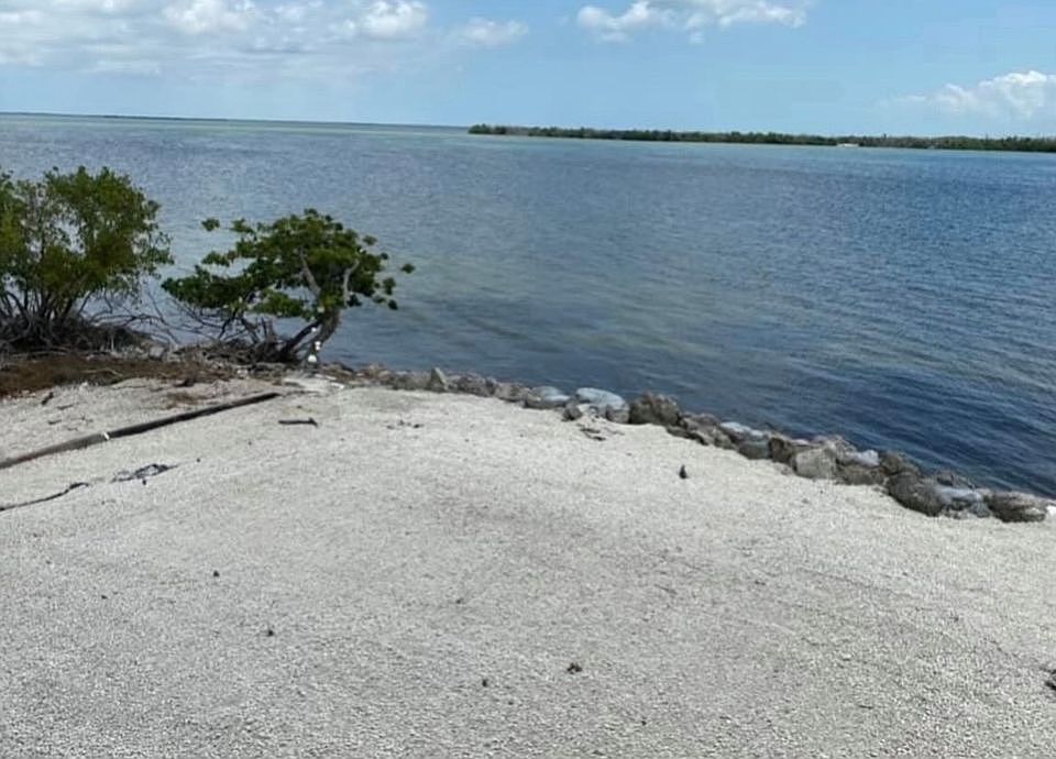 2nd image of 2079 Coral Way