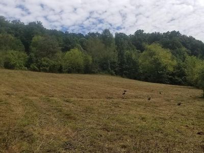 6 Buckeye Hollow Rd Lot 6, Smithville, TN, 37166