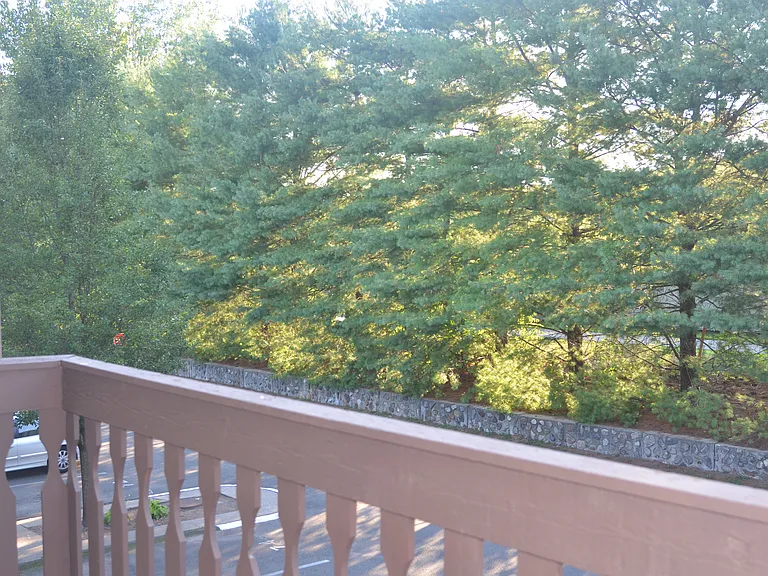 365 Mather St — Photo 2